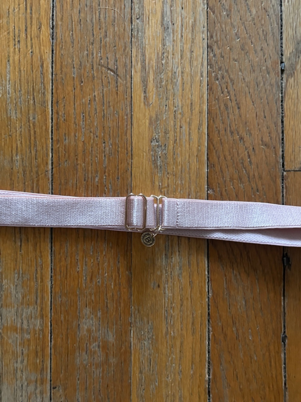 Bodile Pale Pink Dance Belt